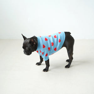 GG DENIM LINE ハート柄犬服 GG DENIM LINE ハート柄犬服