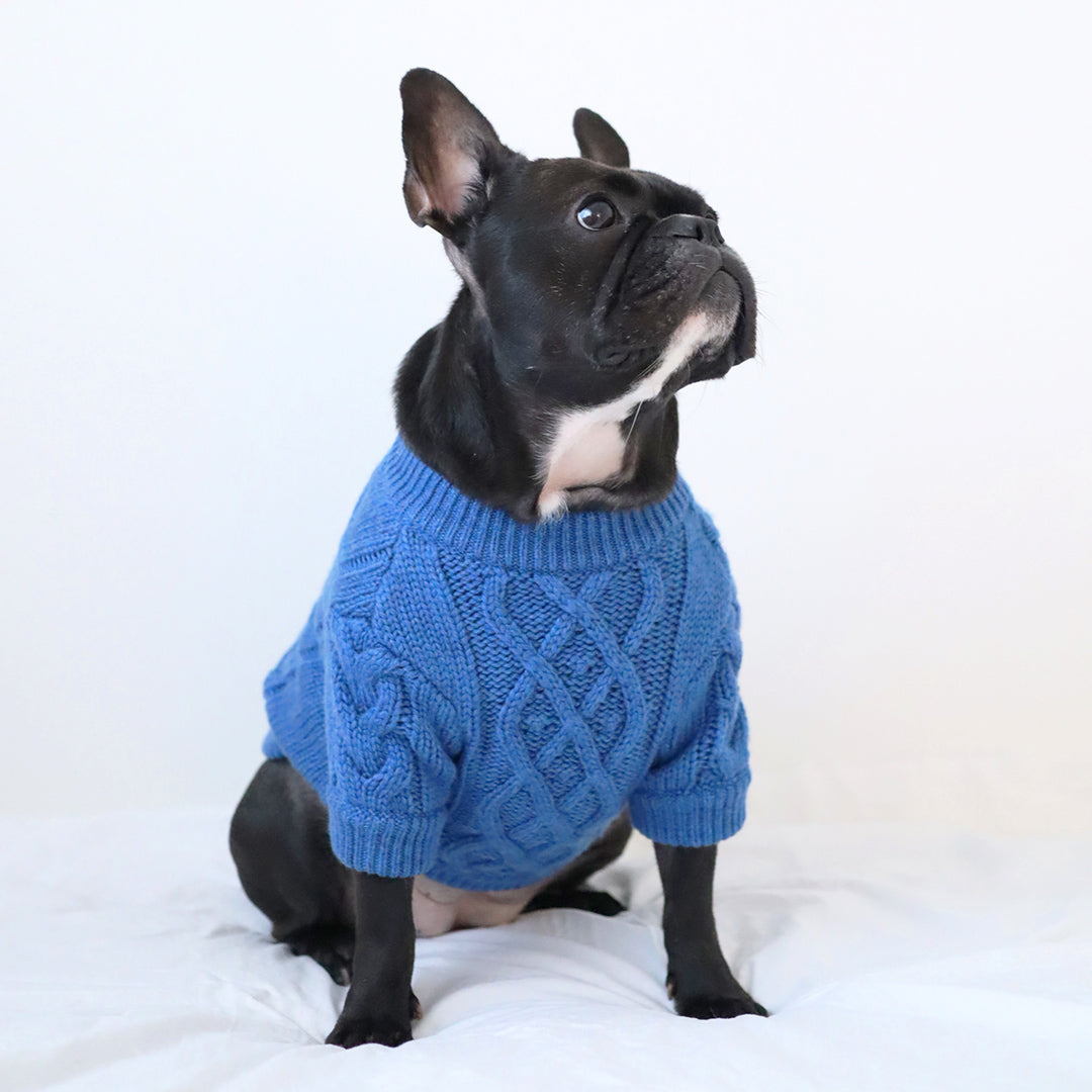 楽天市場】くま耳 帽子（ドッグウェア｜犬用品）：ペット・ペット