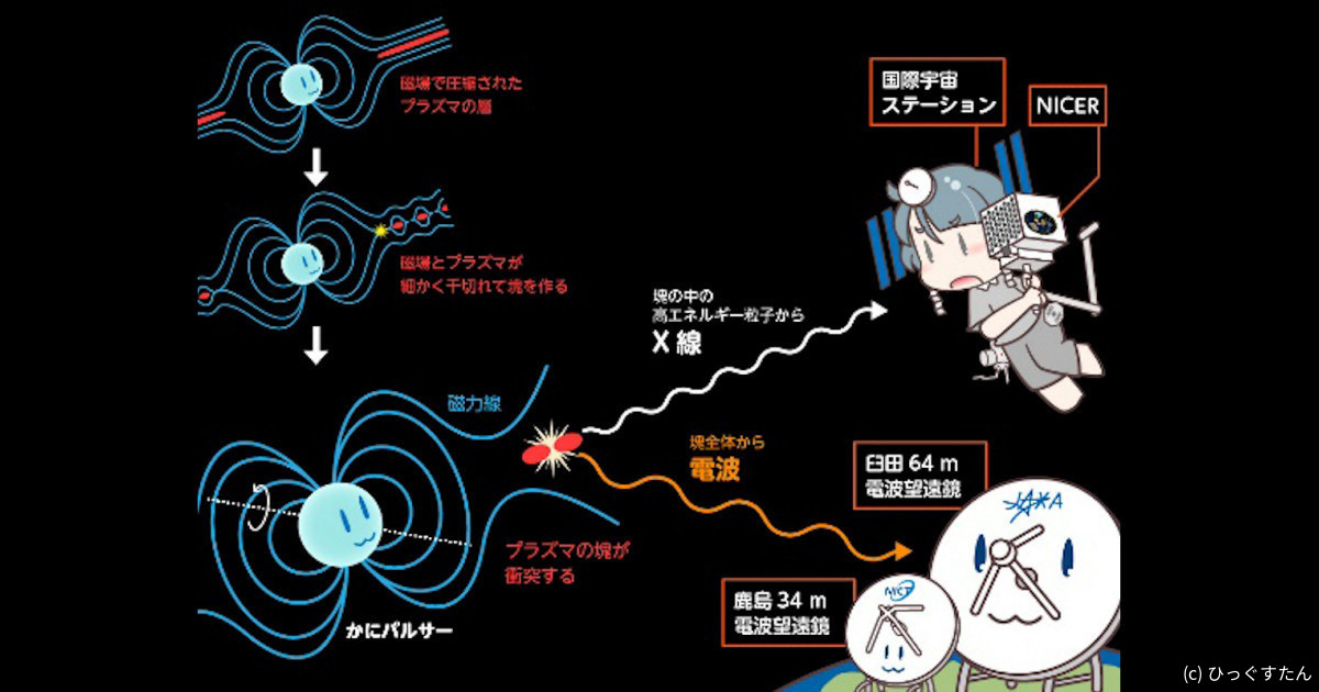 中性子星「かにパルサー」で巨大電波パルスに同期したX線増光の検出に