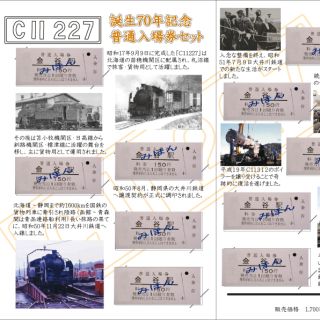 硬券/大井川鉄道/乗車券11枚セット 大井川鐵道バス乗車券 寸又