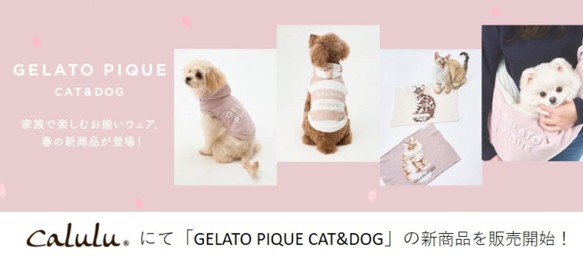 ジェラピケの犬猫用ライン「GELATO PIQUE CAT&DOG」から春の新商品登場