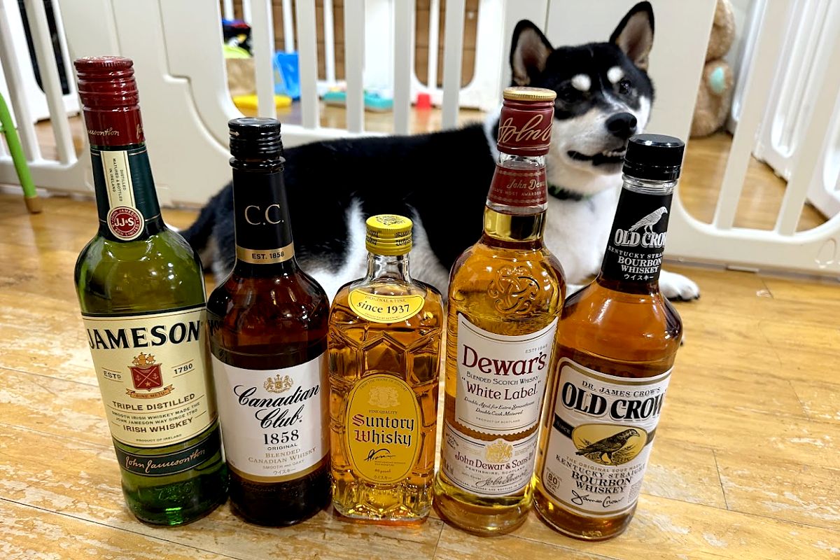 終売品/超美品/未開栓】JAMESON 12年700ml