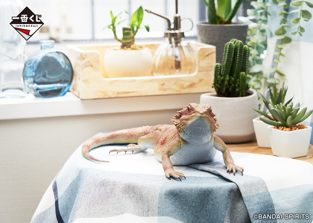 一番くじ 爬虫類＆両生類～Tiny Friends～」7月27日より発売開始