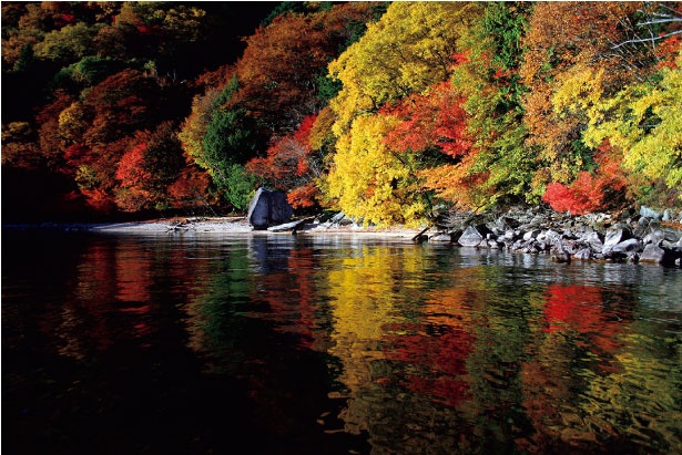 超絶景 栃木県日光市 ☆龍頭の滝の紅葉☆作品パネル1点物 超絶景 栃木