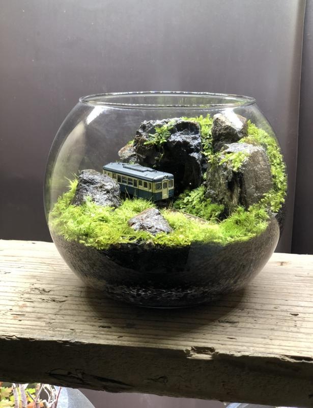 ガラスの中の森に癒される「苔テラリウム」とは？苔で独自の世界を構築