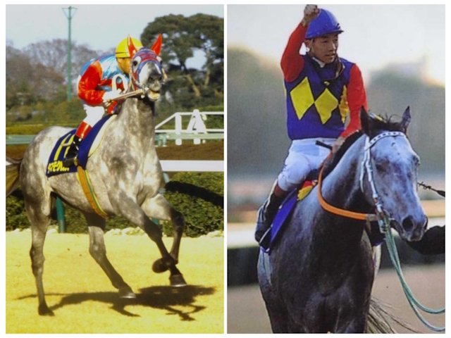 オグリキャップvsタマモクロス 芦毛の両横綱が88年有馬記念でみたび