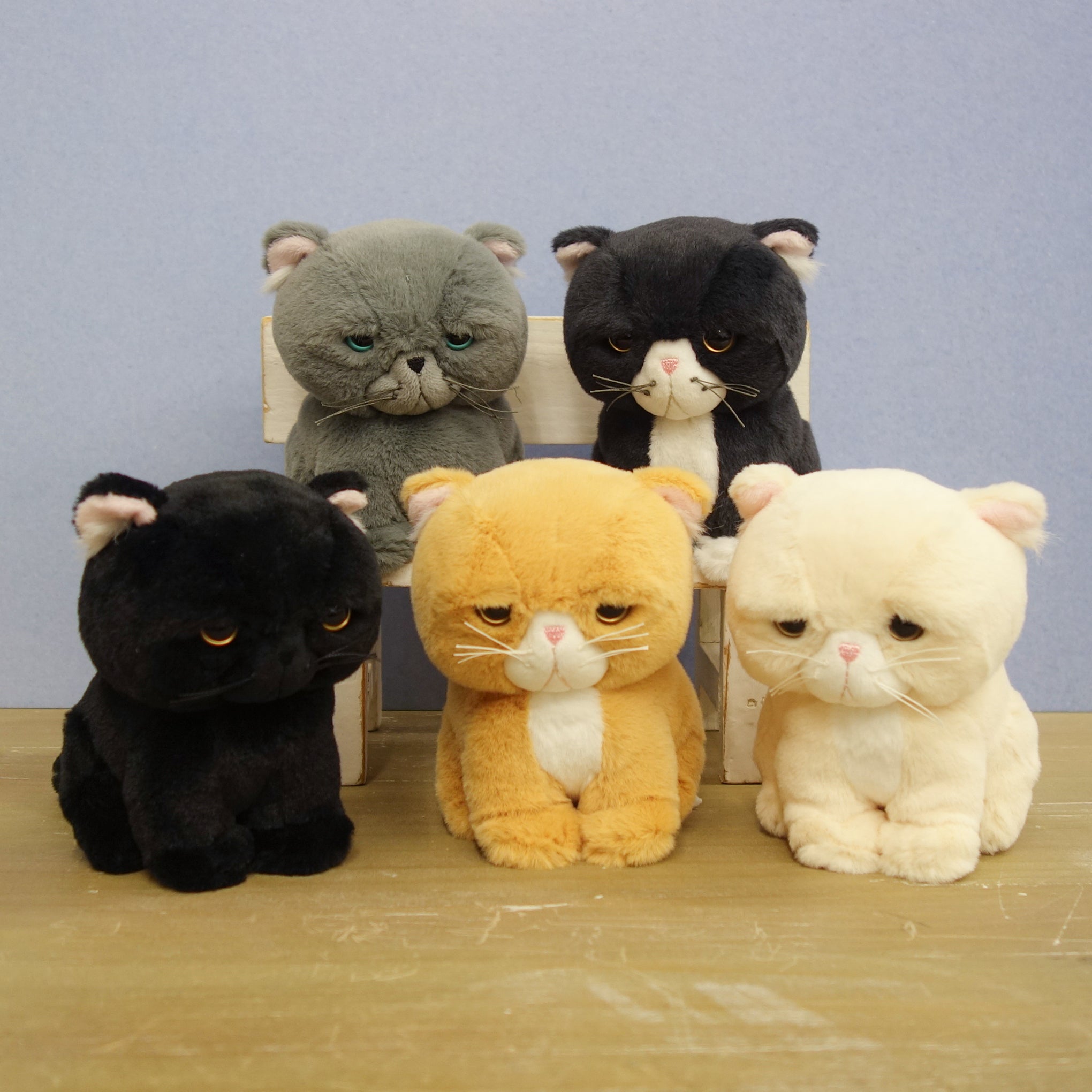 1体限定❤マンチカン子猫ちゃん♡ぽちゃボディ♡よちよちあんよ♡アート