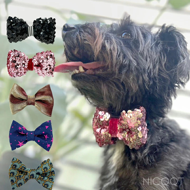 犬と猫の蝶ネクタイ – NICQQT