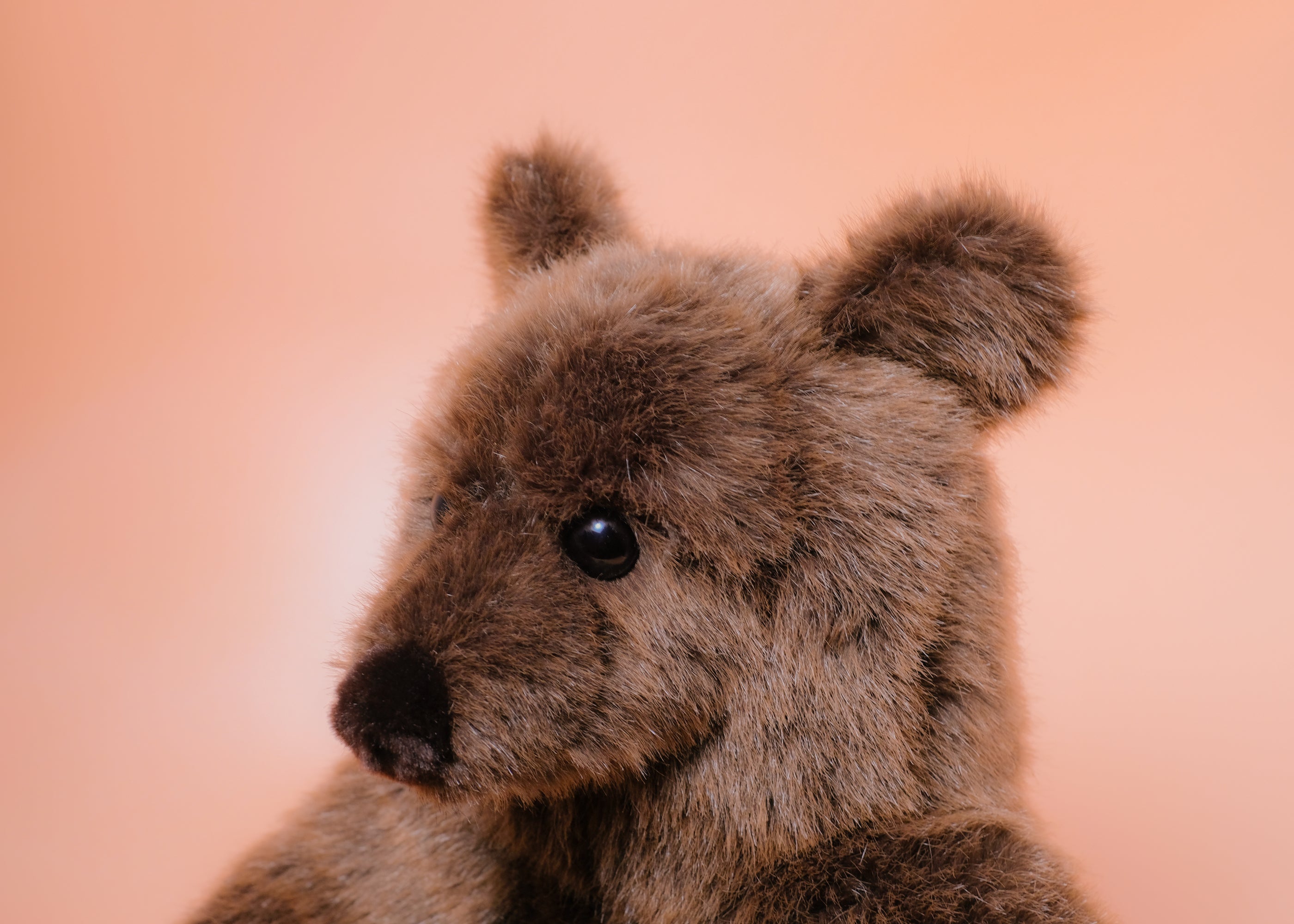 001__1_4100x.jpg?v=1666414957