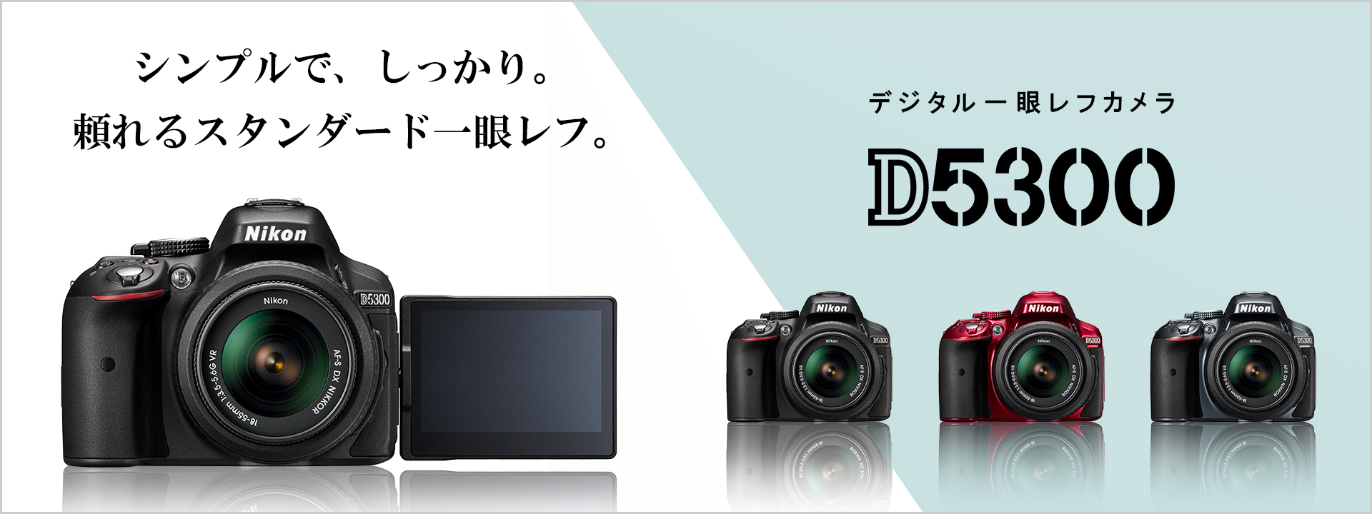 D5300 - 概要 | 一眼レフカメラ | ニコン