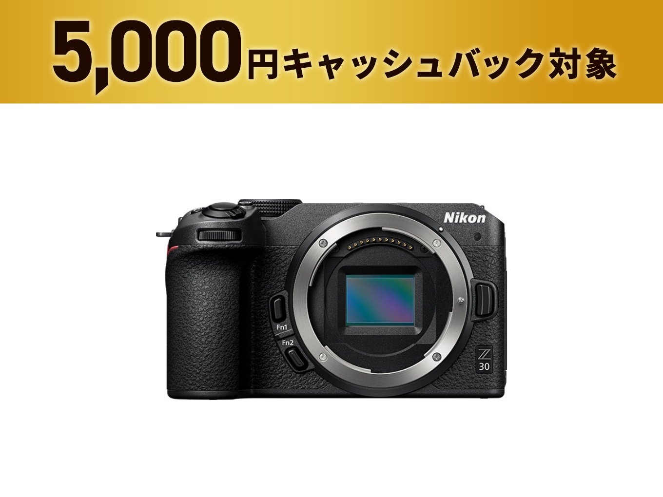 Z30 16-50 VR レンズキット - 公式通販 | ミラーレスカメラ