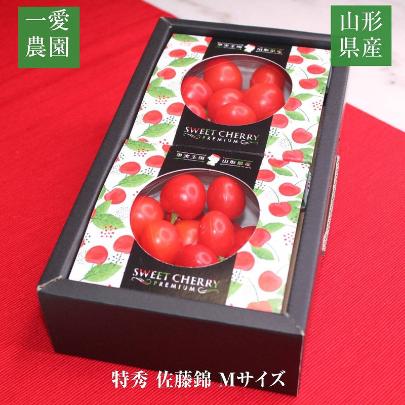 さくらんぼ 【一愛農園】 佐藤錦 ダイヤパック100g×2 200g 特秀 M 母