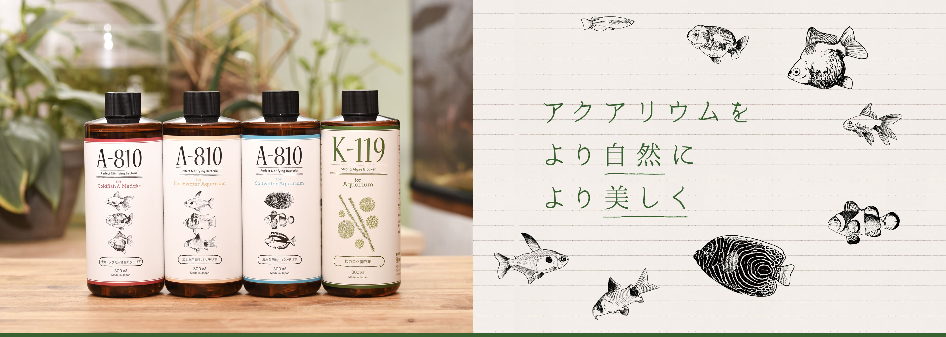 日本プロジェクトバイオ