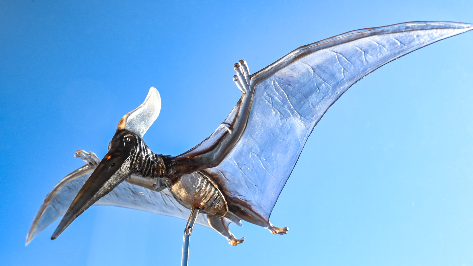 レビュー】クリアな翼竜のプラモデルがつなぐ、作り手のバトン／タミヤ