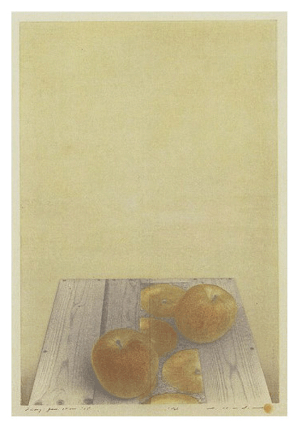 版画作品 | 野田哲也 版画家 公認サイト | Tetsuya Noda.