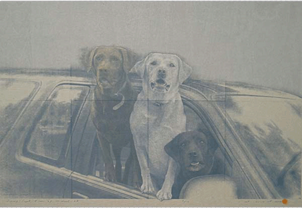 版画作品 | 野田哲也 版画家 公認サイト | Tetsuya Noda.