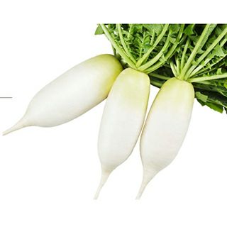 大根 種 【 辛味大根 旭山 】 20ml ( 大根の種 ) | 農業屋.com
