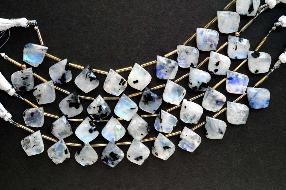 DSC04029_2048x.jpg?v=1721731542