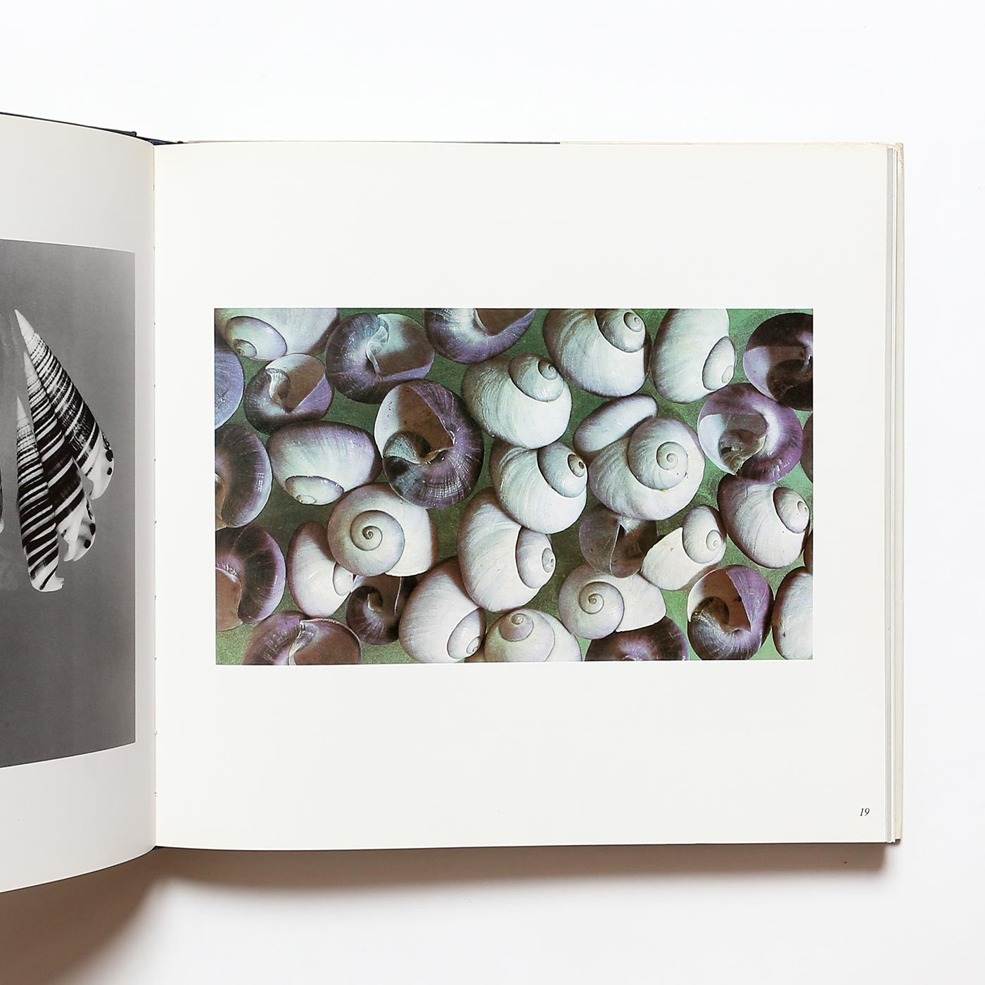 限定版 200ヴィンセント ハデルシー リトグラフ ハンティングイン