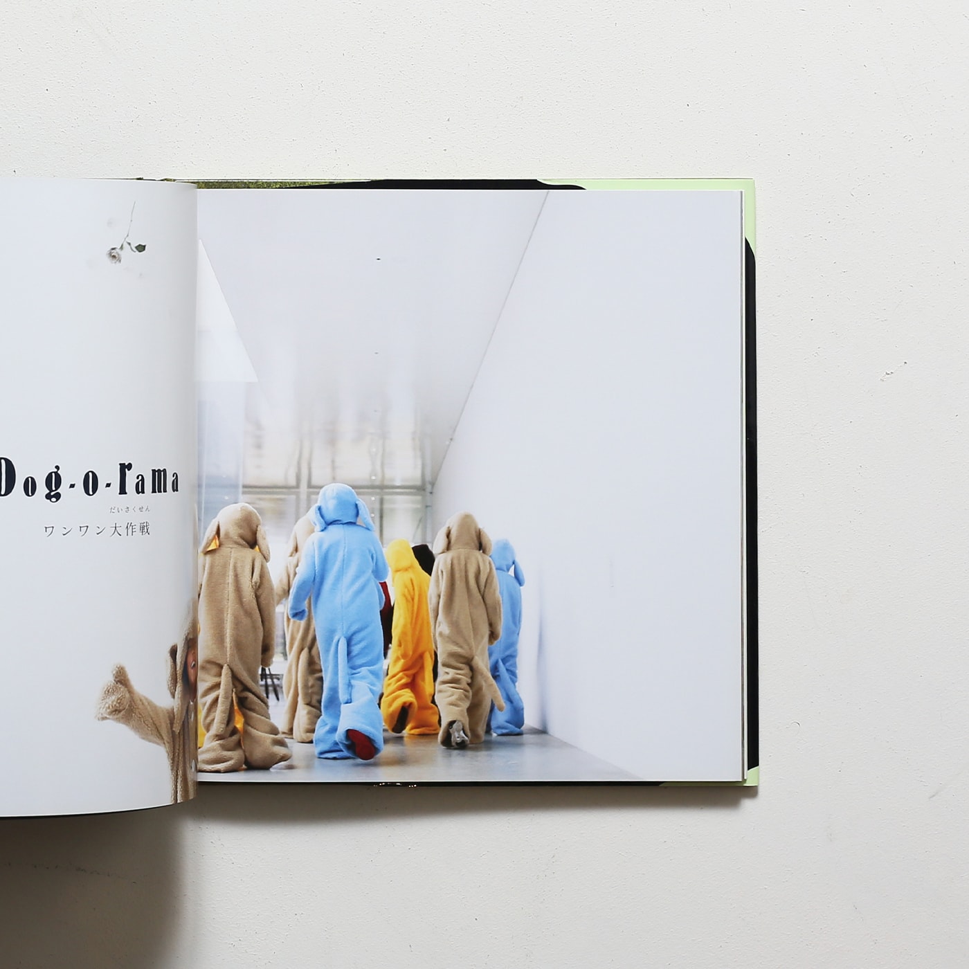 奈良美智展 Moonlight Serenade 月夜曲 | 金沢21世紀美術館 | nostos