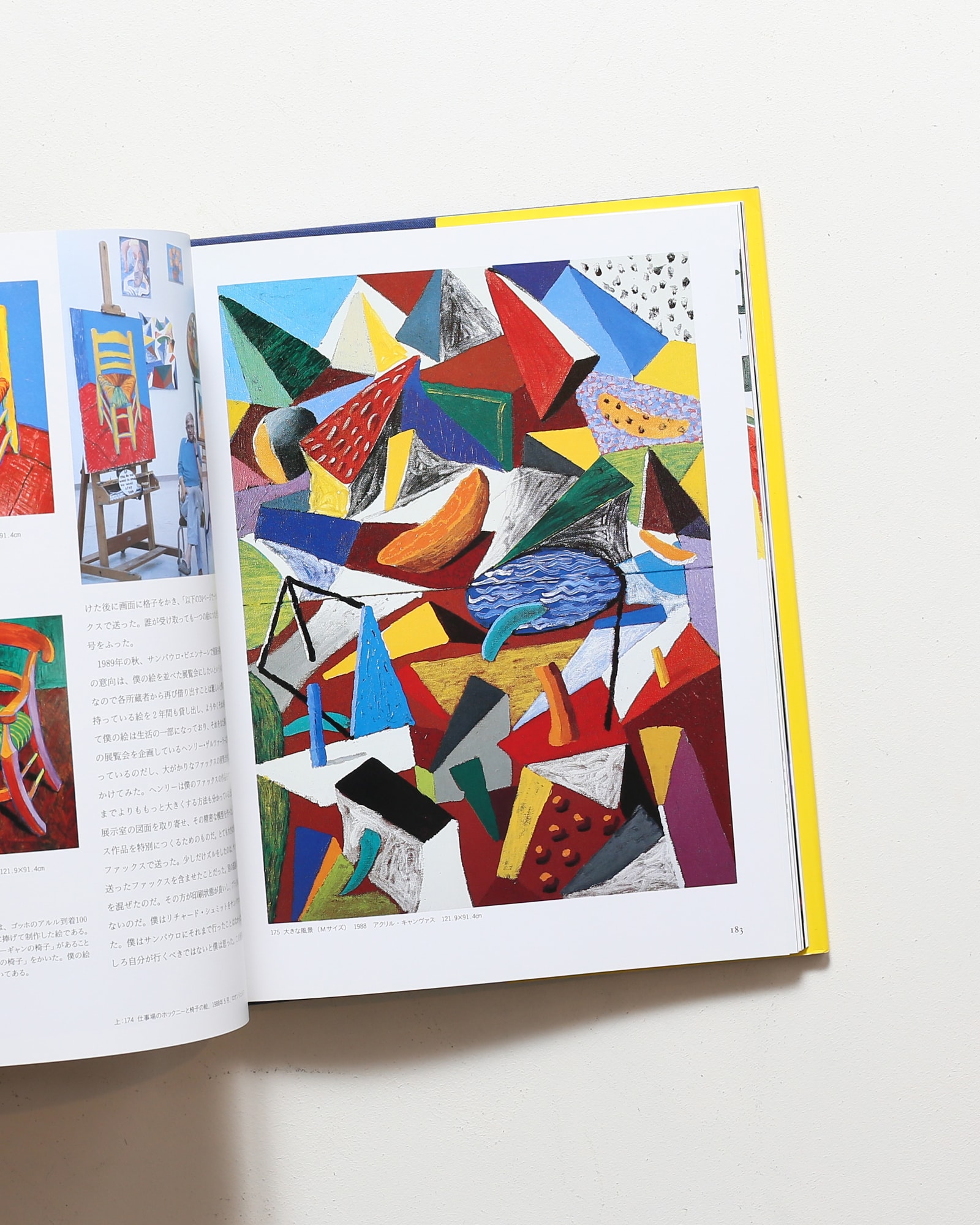 デイヴィッド・ホックニー 僕の視点 芸術そして人生 | nostos books