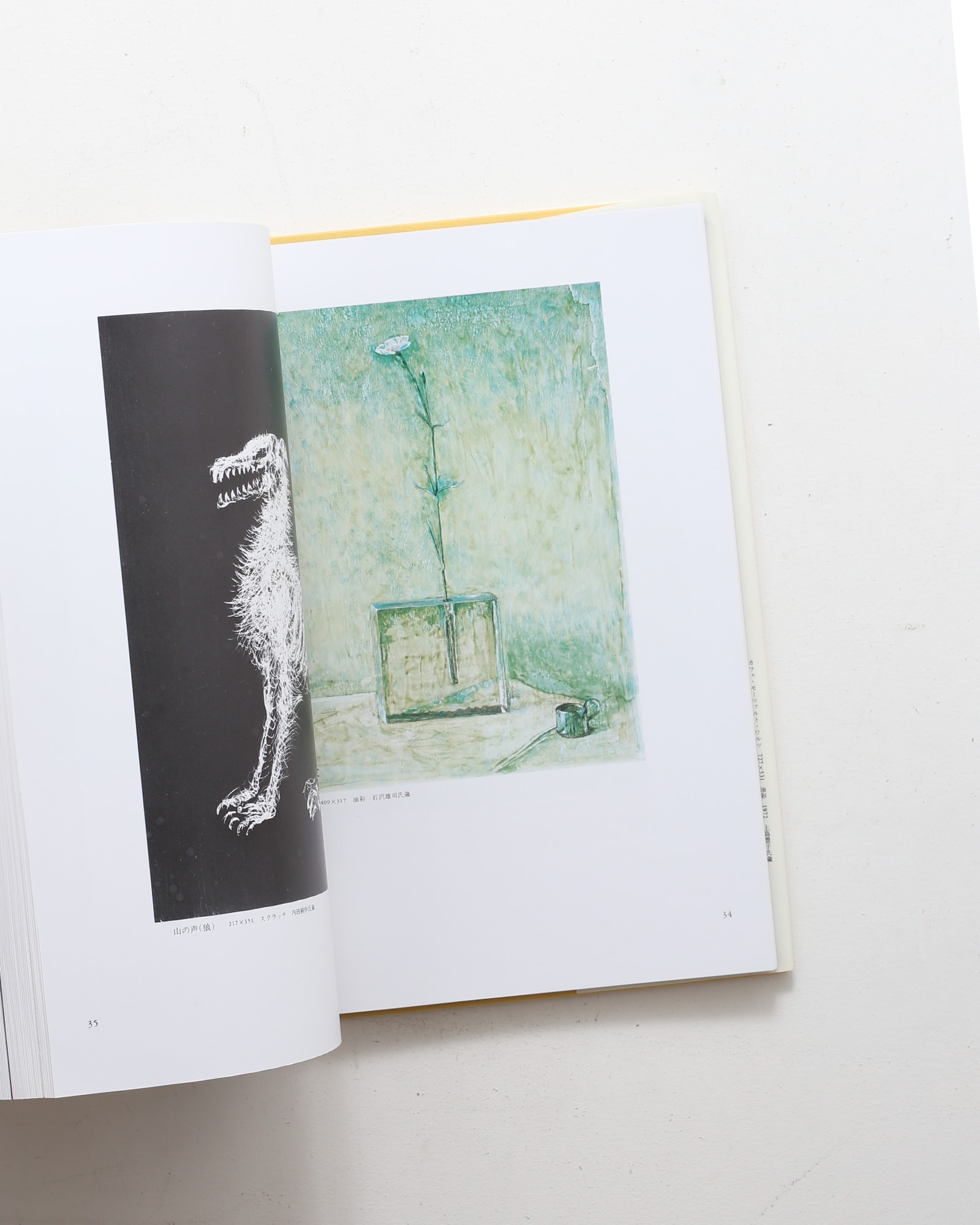 辻まこと全画集 | 串田孫一、宇佐見英治、矢内原伊作 ほか | nostos