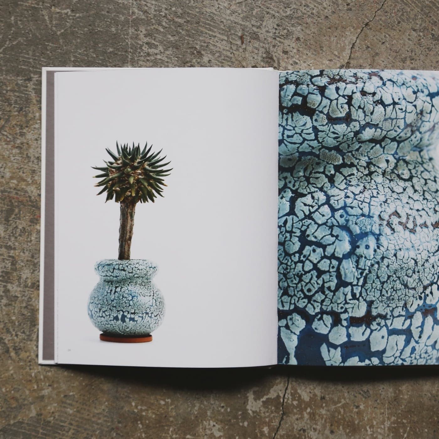 陶芸家アダム・シルヴァーマンフラワーベース