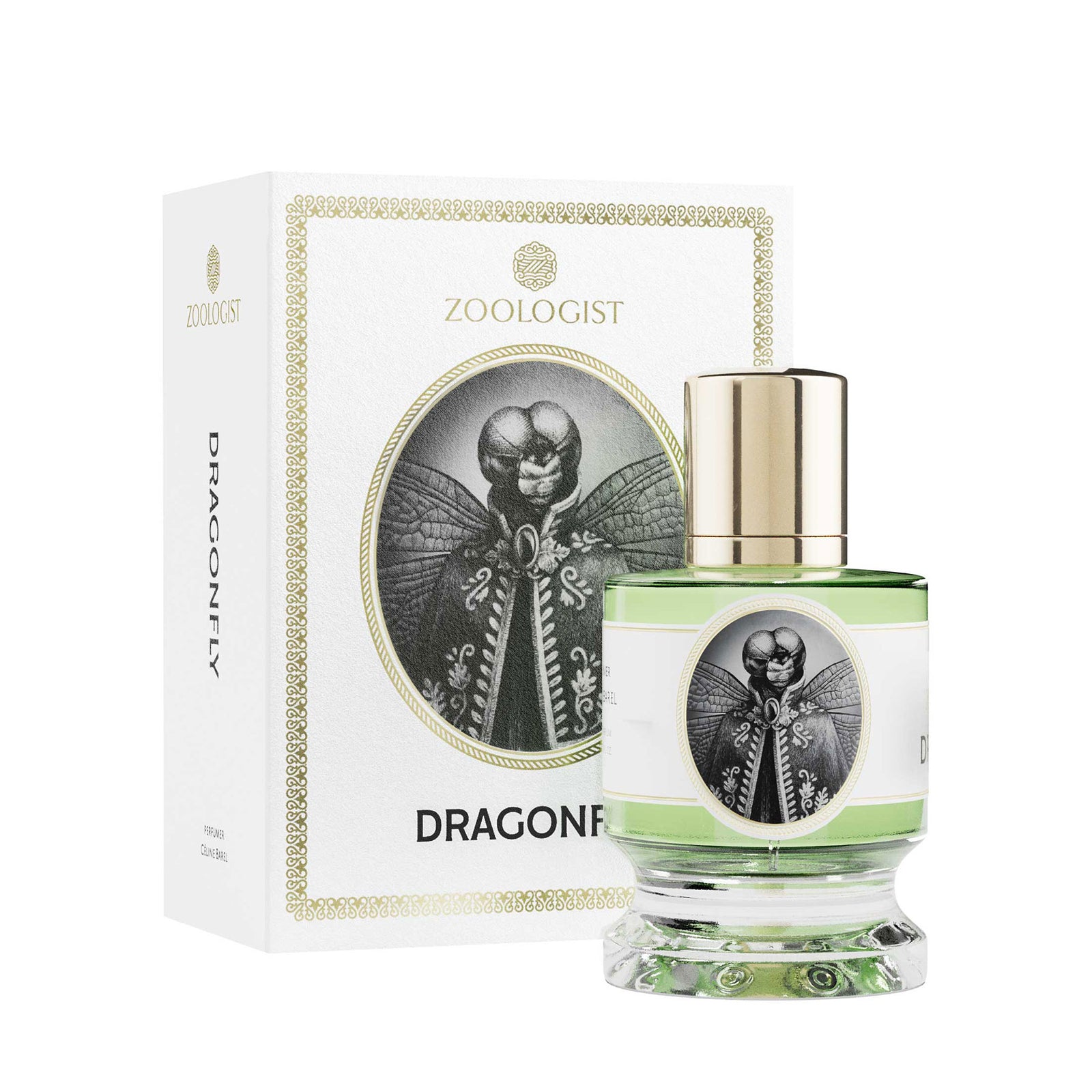 ドラゴンフライ2｜トンボ2 – NOSE SHOP