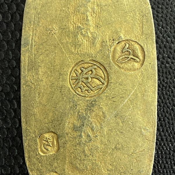 IMG_7053_600x600_crop_center.