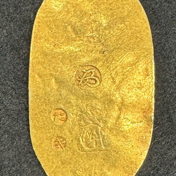 IMG_1301_600x600_crop_center.