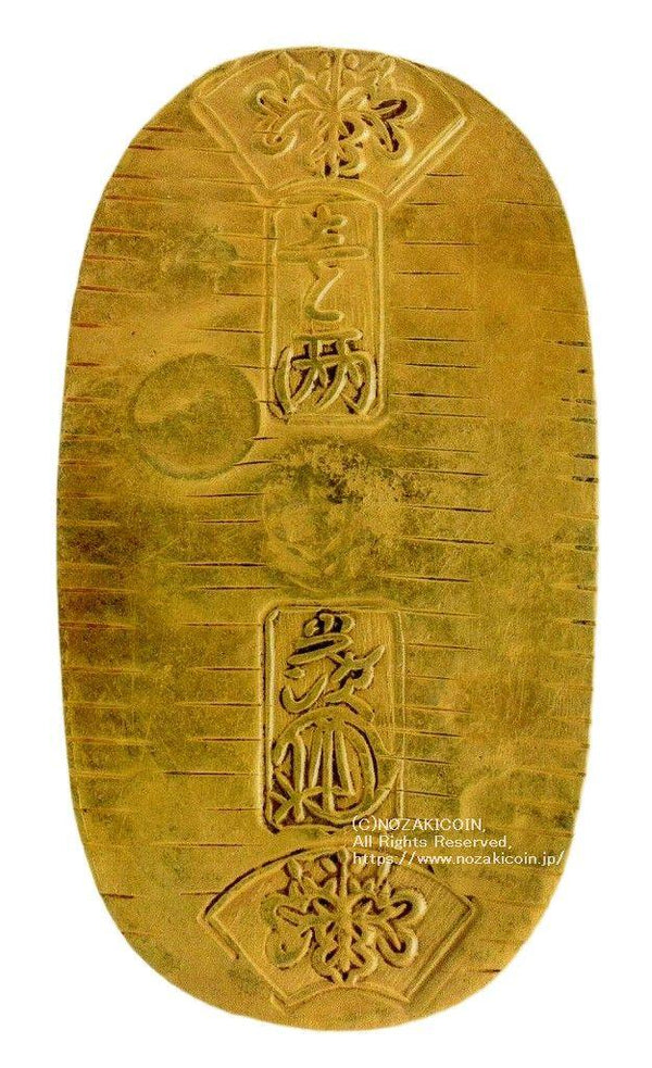 imgj658_1_600x.jpg?v=1689655358