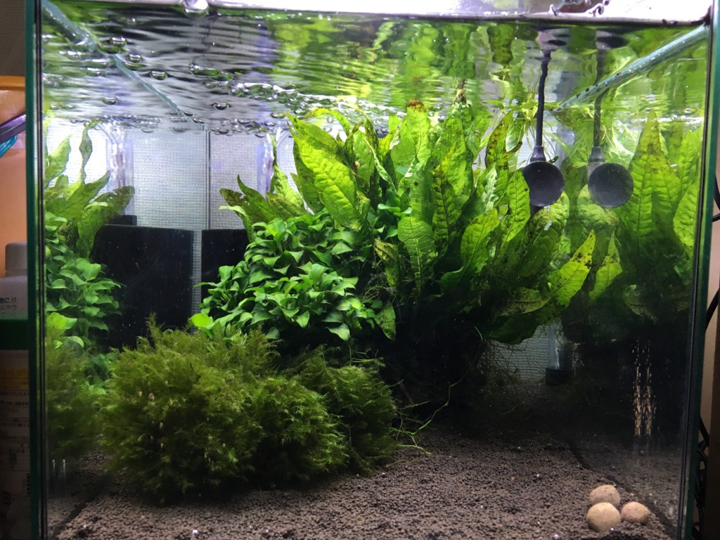 NISSO LED水槽用ライト 90cm スーパークリアLED900/2個セット ニッソー