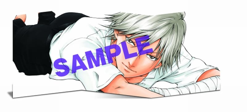 現品限り】テニプリ 完全版応募者全員サービス ポスター 20枚 【貴重品