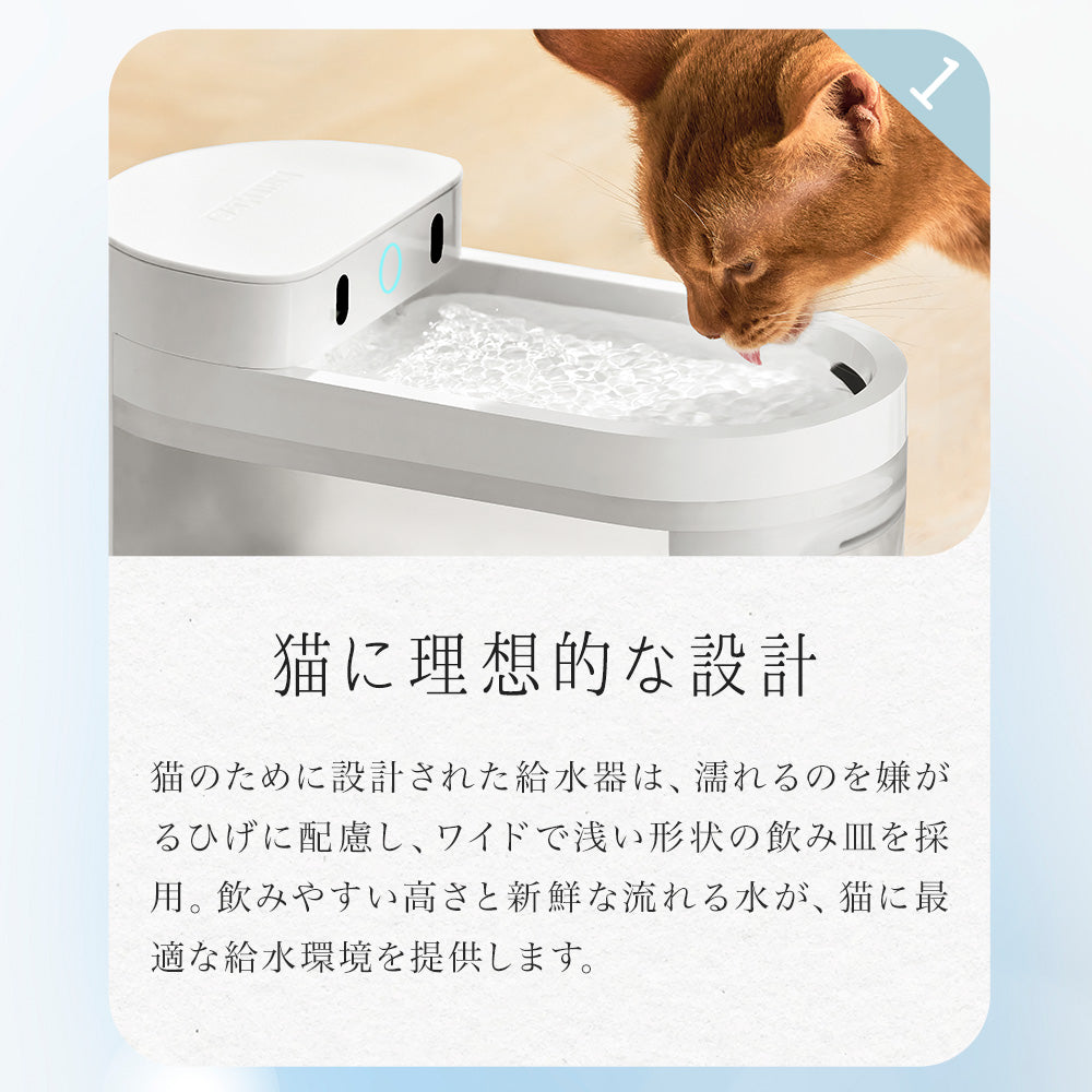 自動給水器 CATLINK WIRELESS WATER FOUNTAIN (ワイヤレス