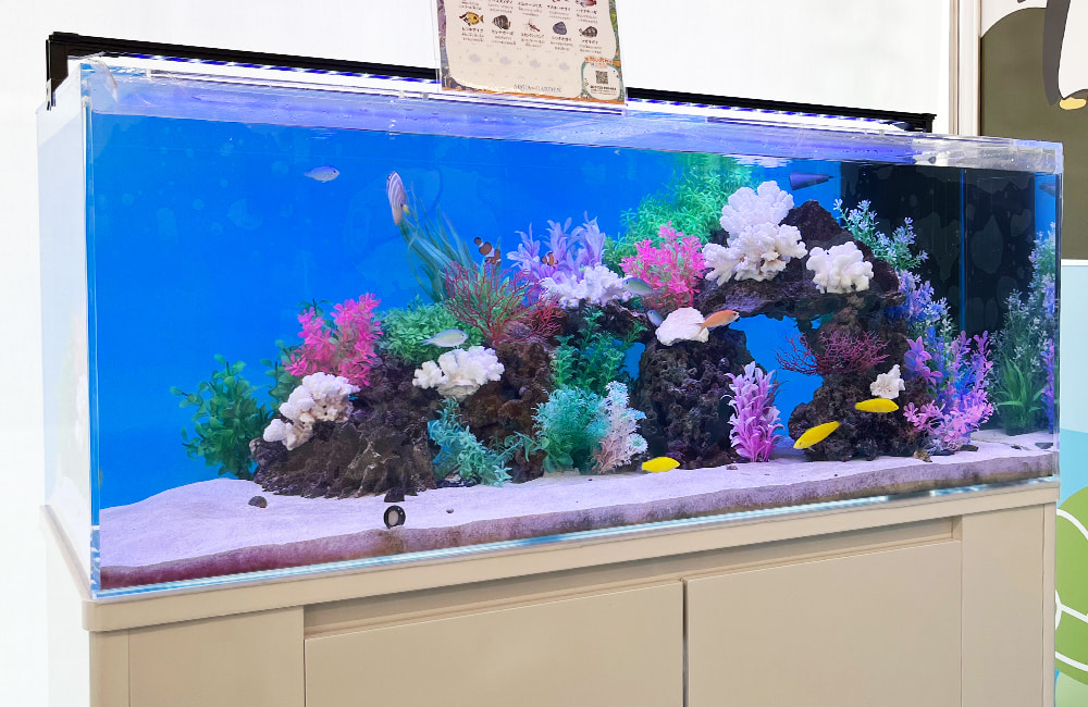 120水槽セット＋海水魚