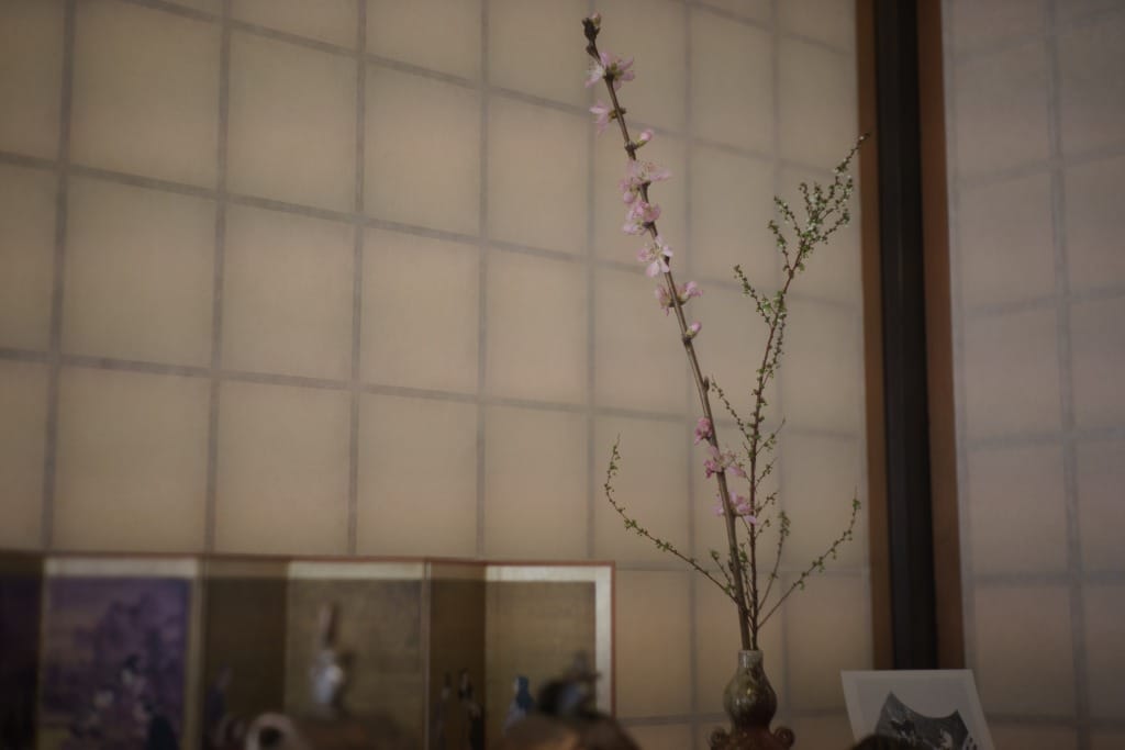 超希少 Nikkor H C 5cm F/2 沈胴式 初期シリアルL39レンズ Nikkor-H.C 50mm