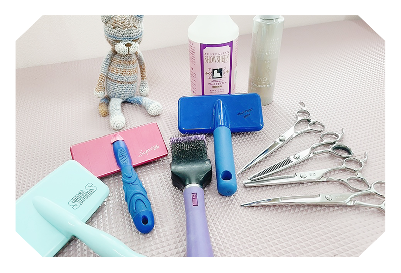 TRIMMING SALON￼ - Dog studio オリーブ【公式】 埼玉県久喜市の