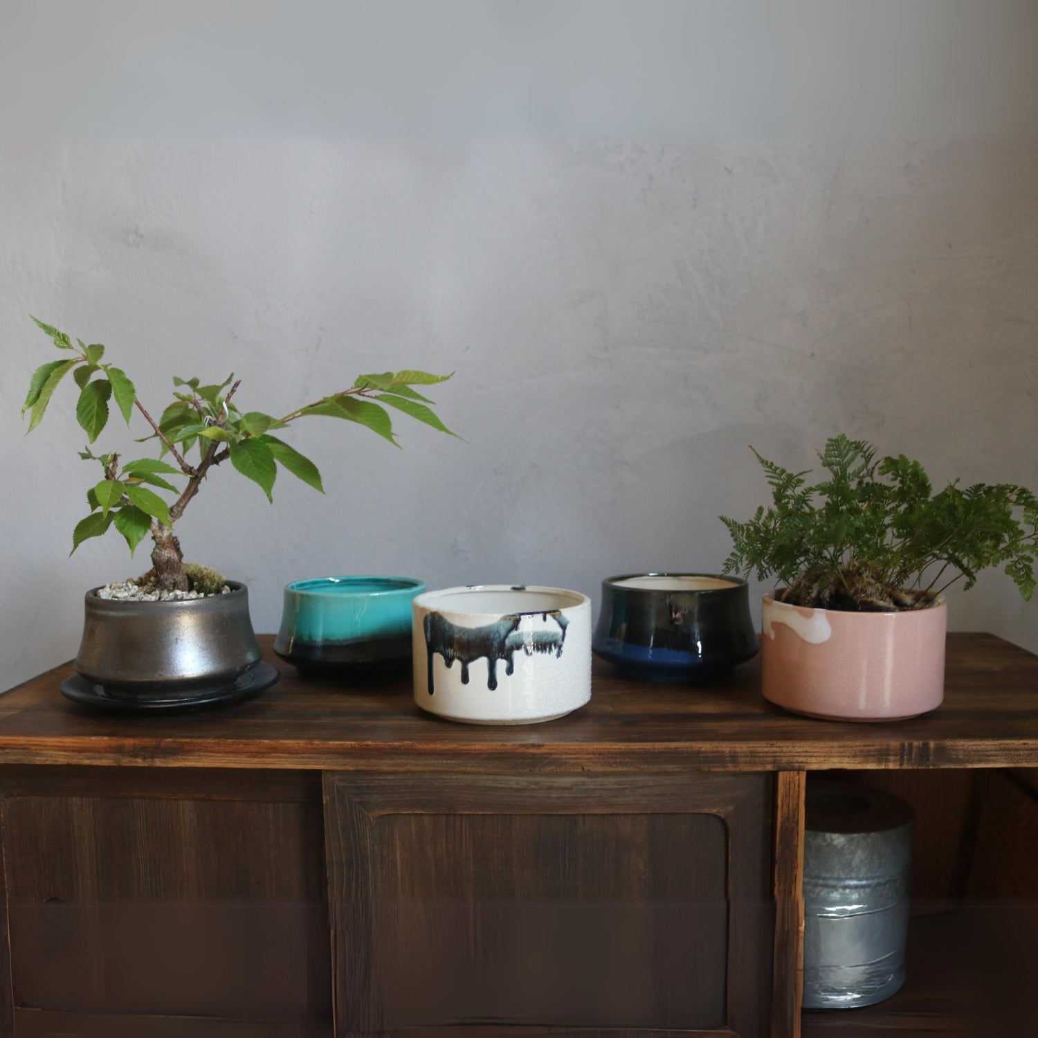 380 盆栽 盆栽鉢 植木鉢 和鉢 美功 380 盆栽 盆栽鉢 植木鉢 和鉢 美功