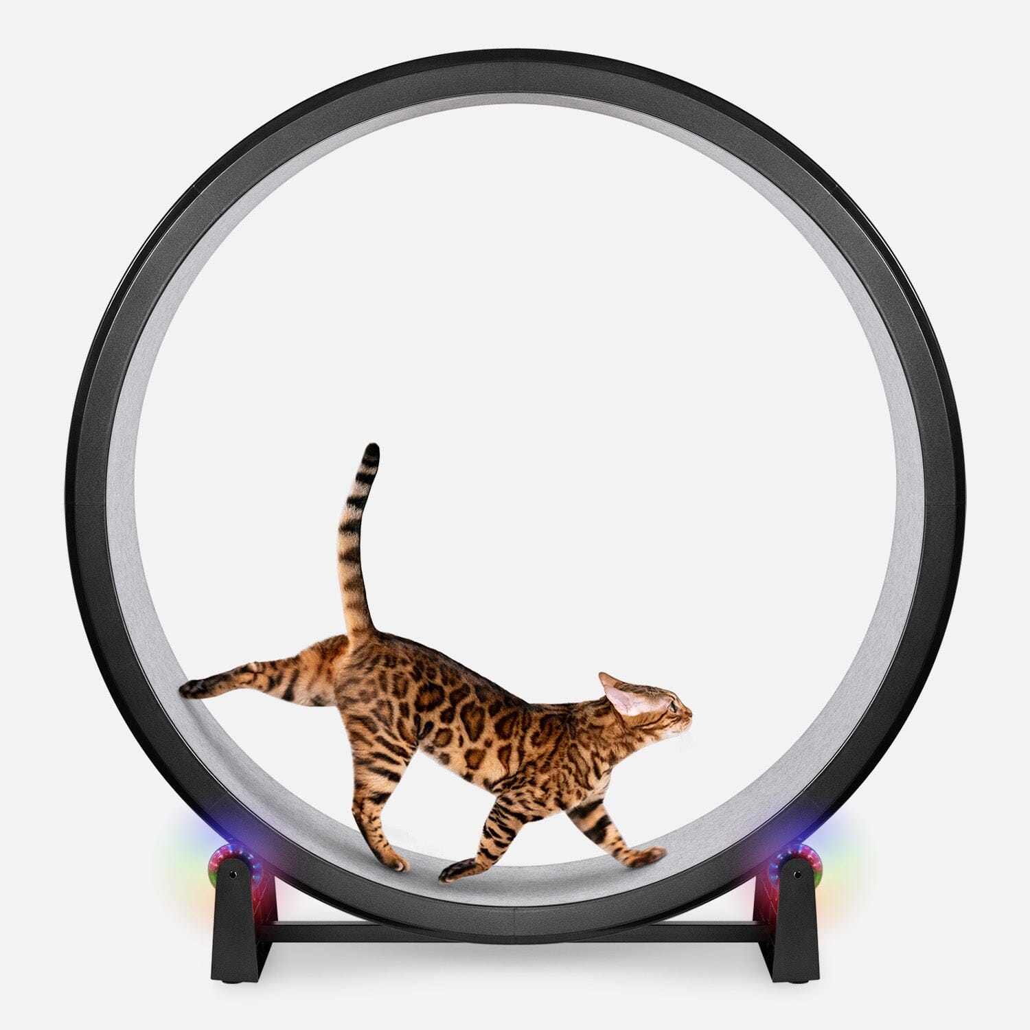 Cat Exercise Wheel by One Fast Cat | Made in California