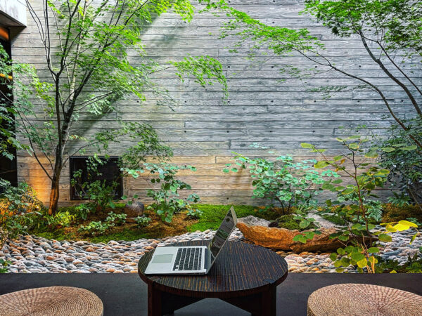 数寄の庭 日本庭園協会 大型本 庭NIWA No.259 2025夏号