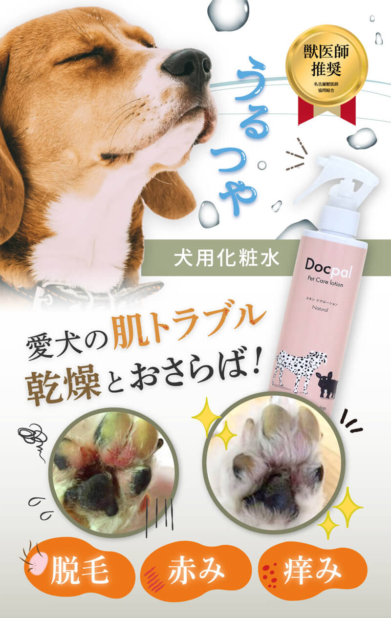 Docpal ペット用化粧水 200mL 3本セット | SARABiO online