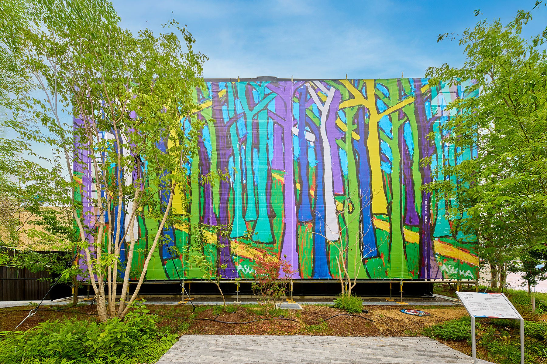 田﨑飛鳥（株式会社ヘラルボニー）｜TAZAKI Asuka (HERALBONY Co., Ltd