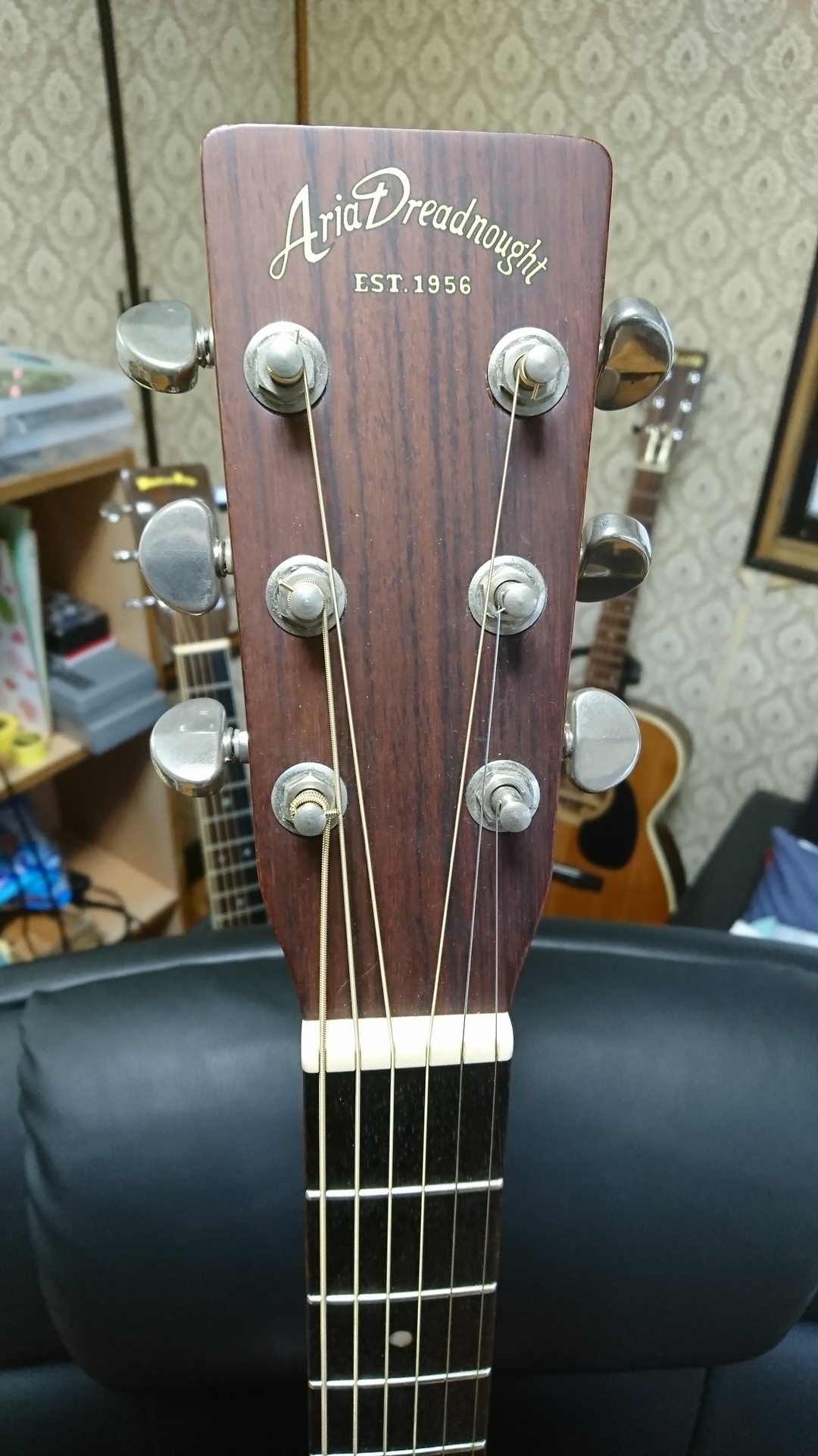 Aria Dreadnought アコースティックギター セットAF-25N Aria