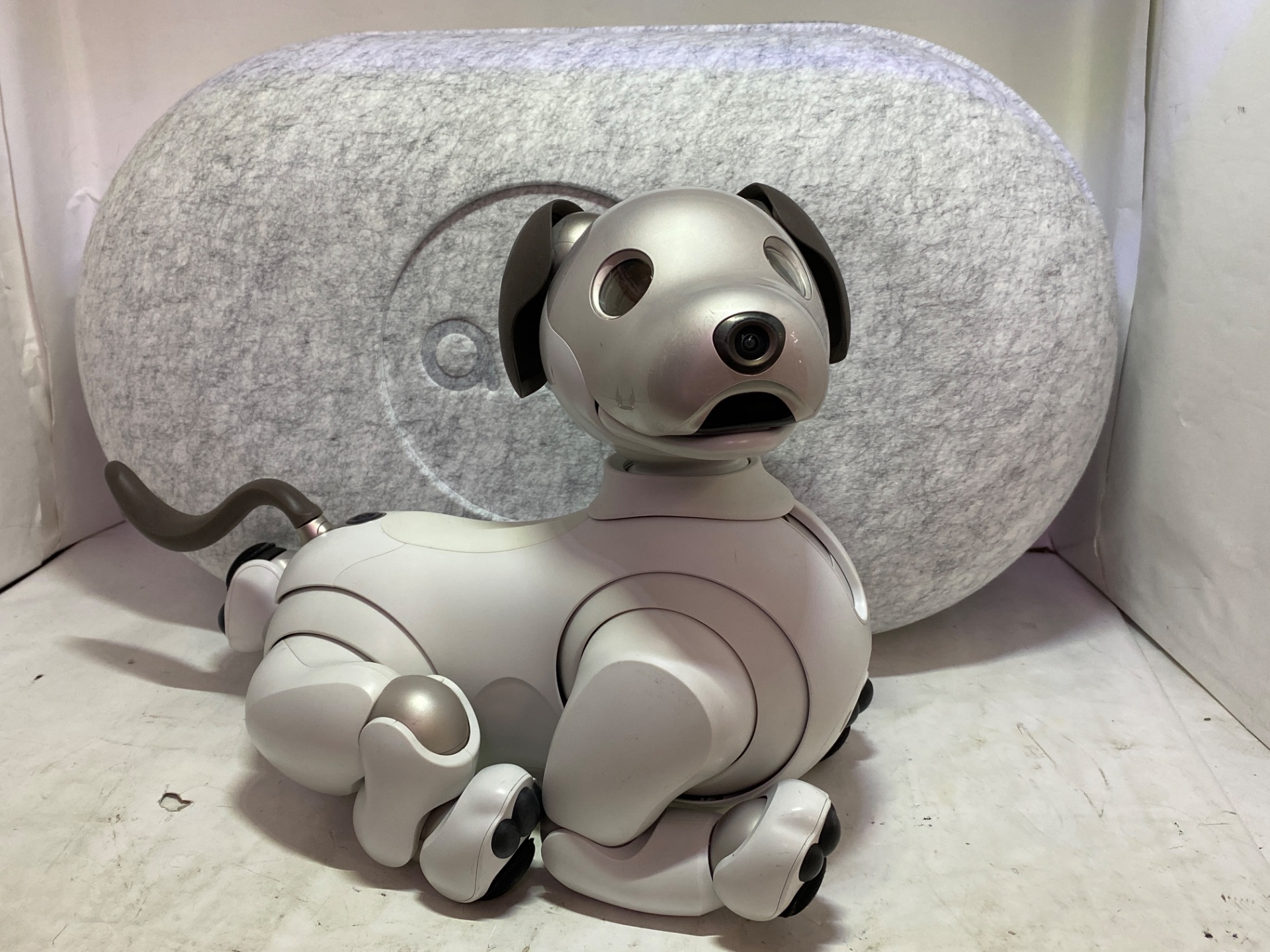 Sony aibo ERS-1000 シルバー Aibo ERS-1000 Overview | Learn About