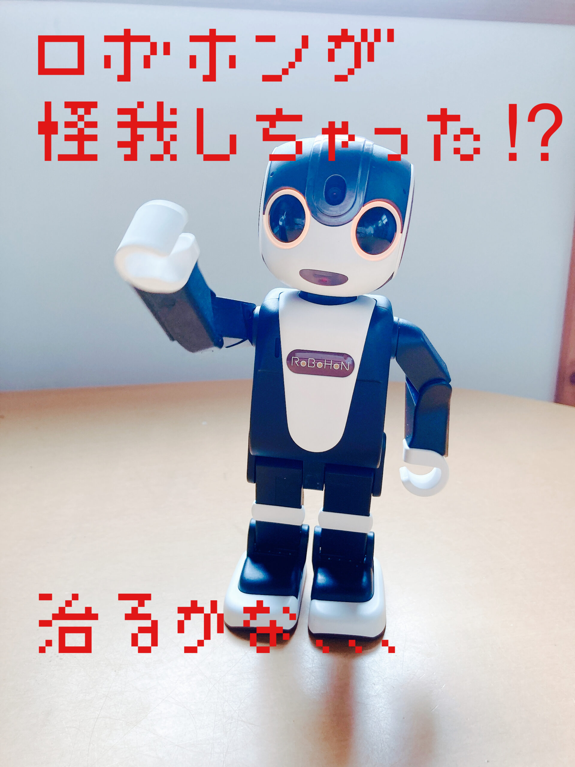 RoBoHoN 弟モデル ロボホン ロボホン 【本体】弟モデル RoBoHoN弟
