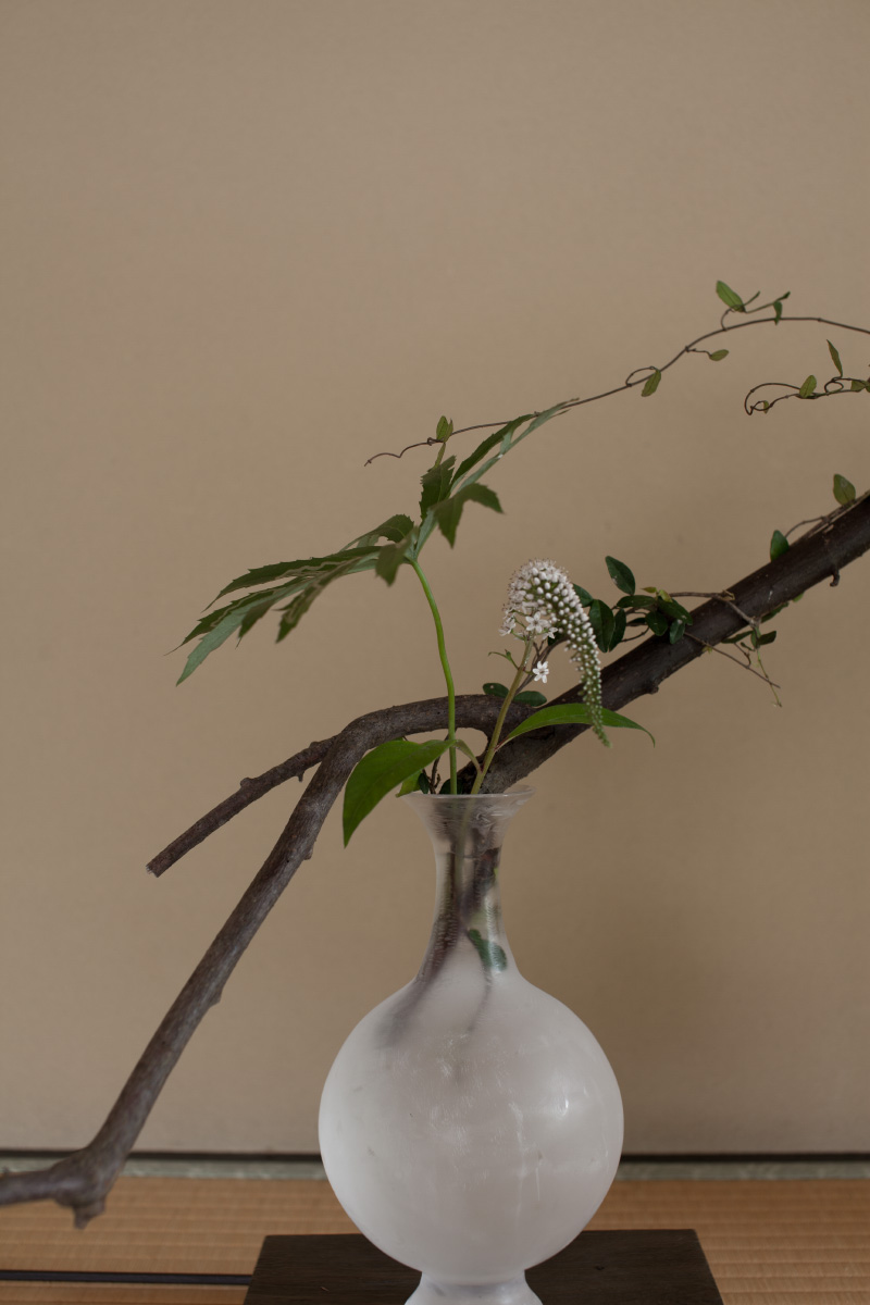 Feature | 瀬沼健太郎 | panorama