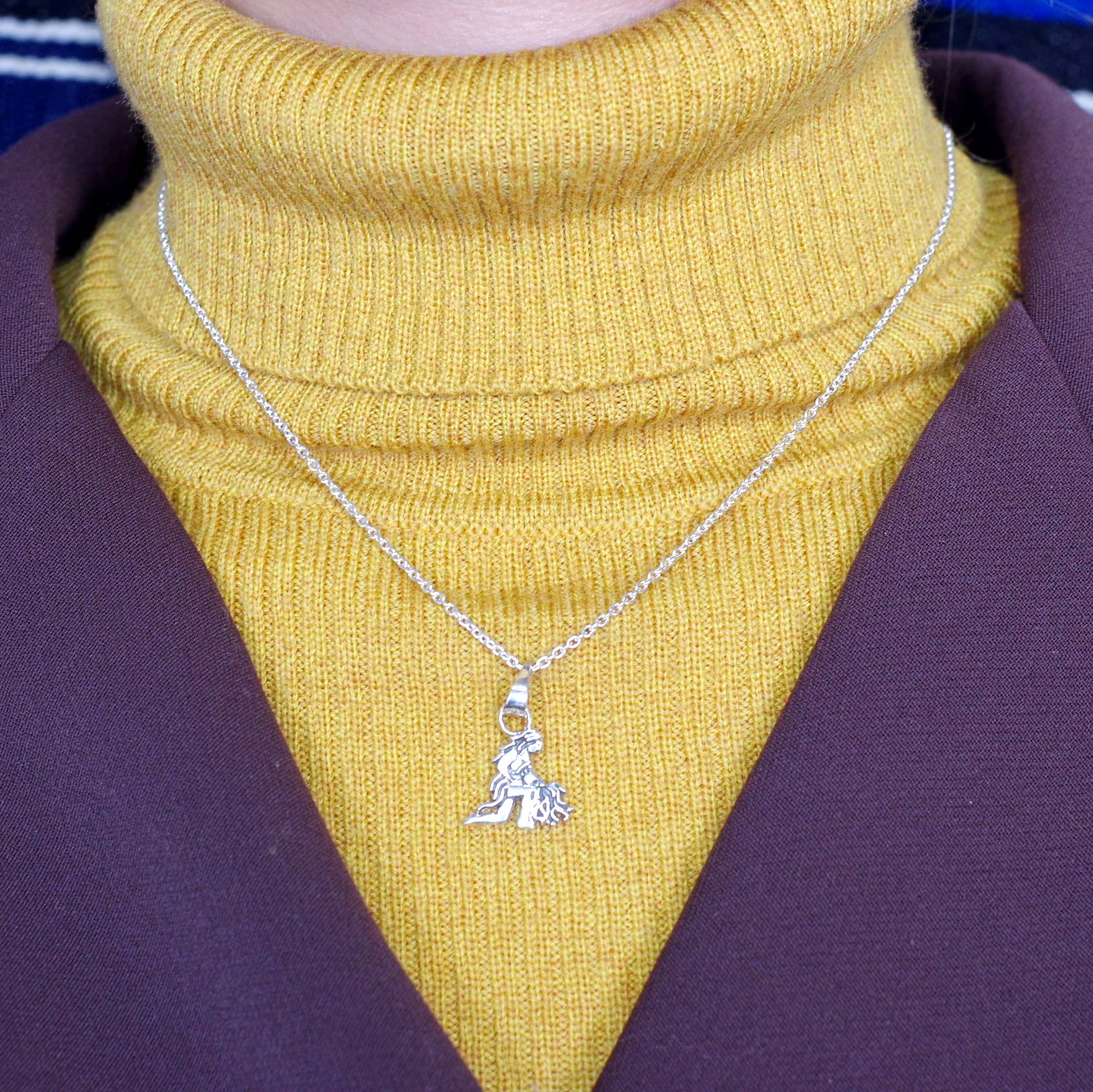 silver925☆12星座【みずがめ座】小さめペンダントトップ