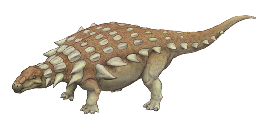 yoroiryu22.jpg 化石 恐竜 超大型 ノドサウルス類・エドモントニアの歯