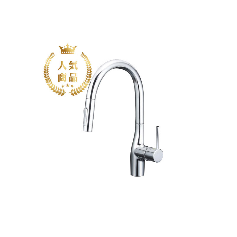 KM6061EC KVK シングルレバー式シャワー付キッチン混合栓 （一般地