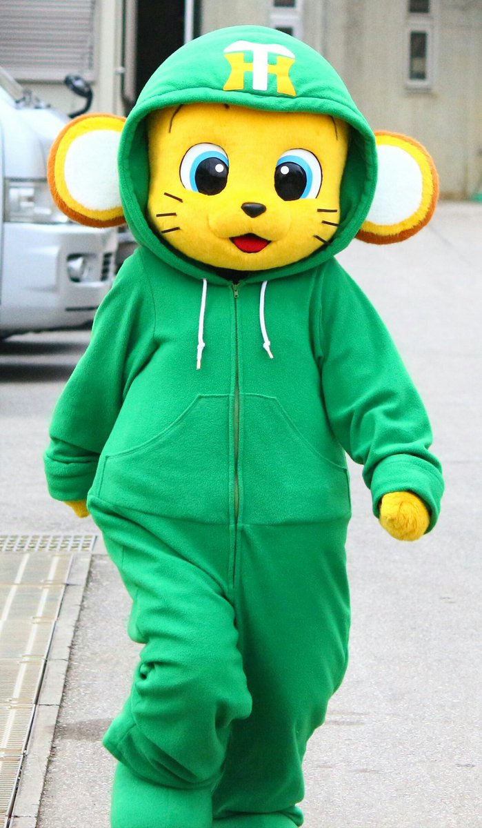 阪神タイガース キー太 緑パーカー 2011年 ぬいぐるみ ゴーヤ キータ